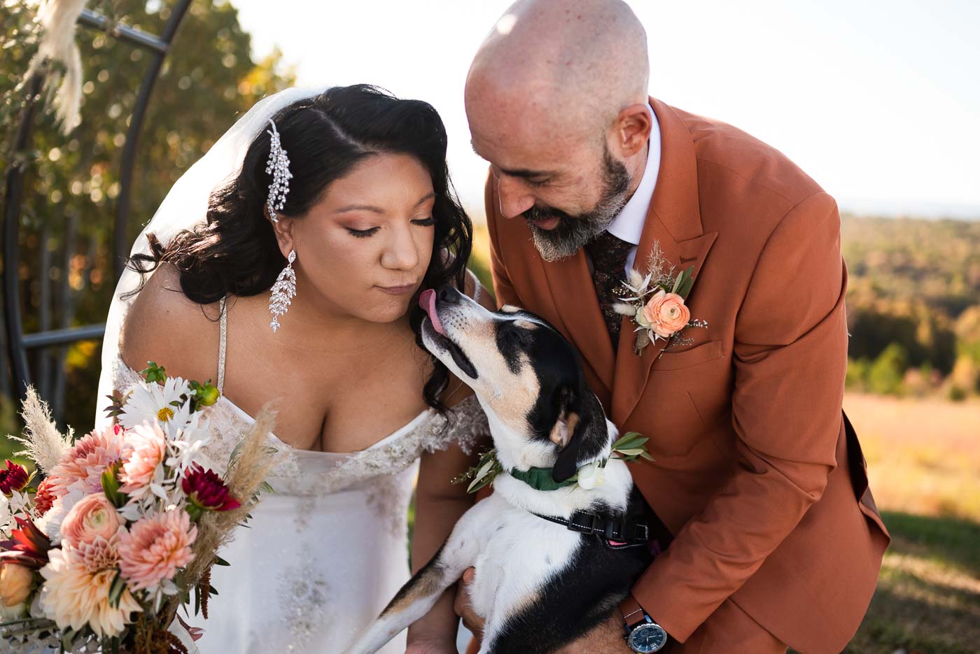 Dog giving the bride puppy kisses
